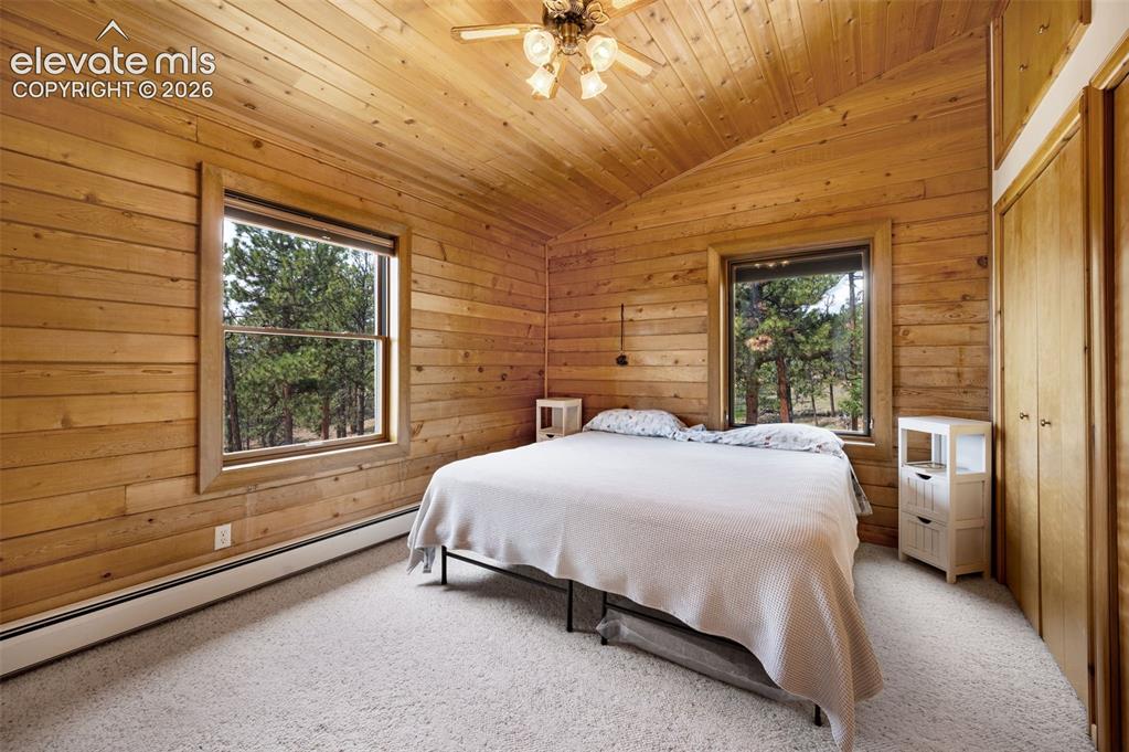 187 Thunder Ridge Road Florissant, CO 80816 - Photo 20 of 46