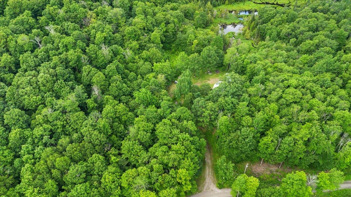 801 Deep Gibou Road Montgomery, VT 05471 - Photo 9 of 23