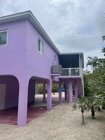 a view of a backyard with plants