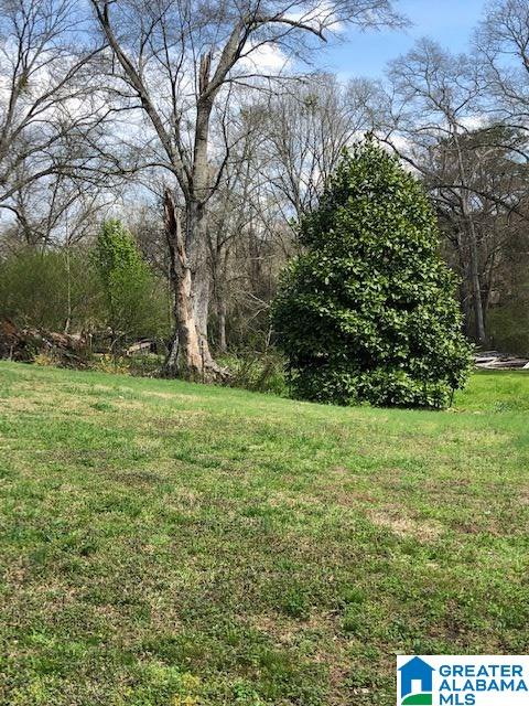 209 Main Street South Wedowee, AL 36278 - Photo 10 of 12