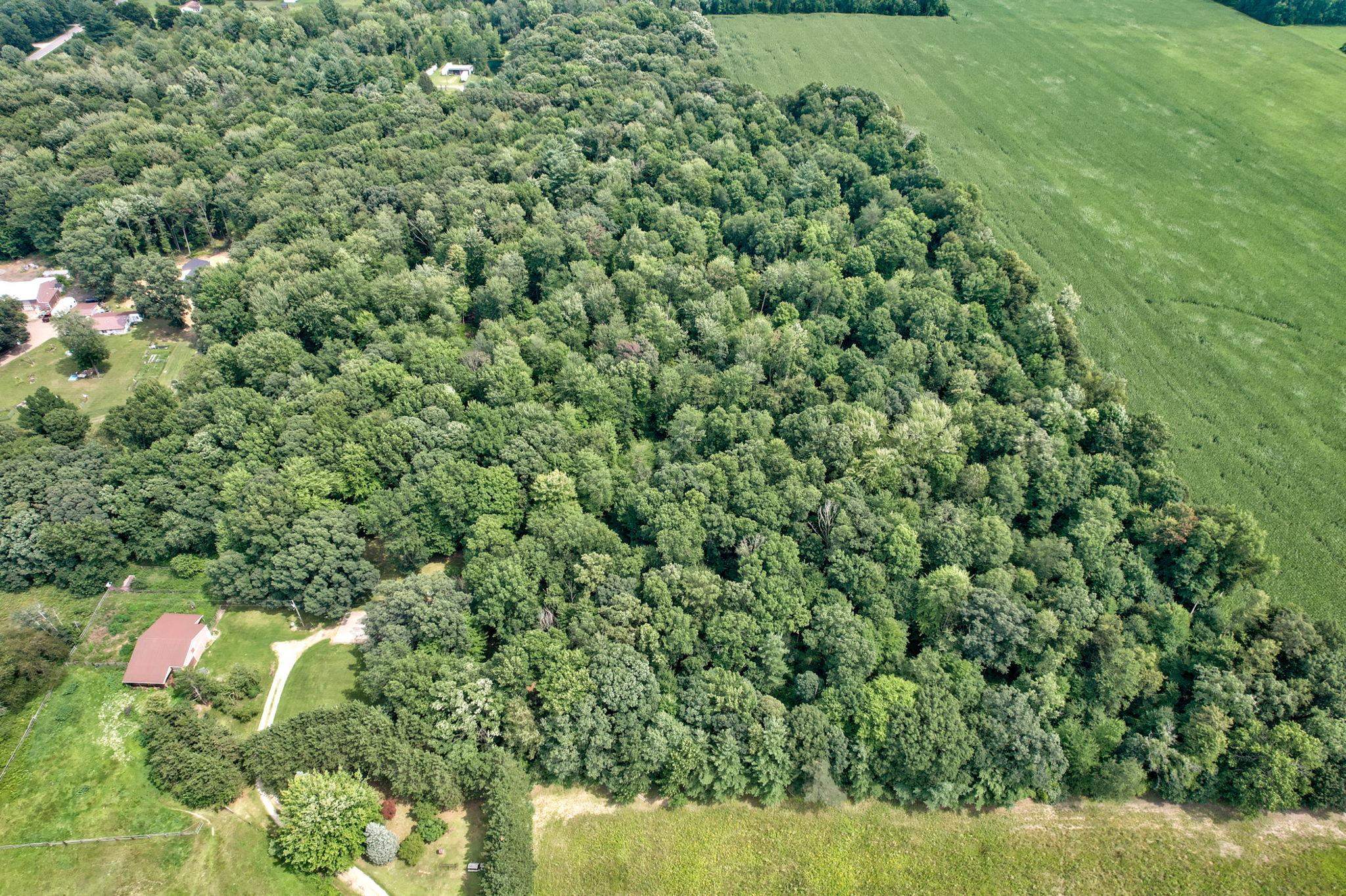 8101 Vassar Road Millington, MI 48746 - Photo 62 of 72