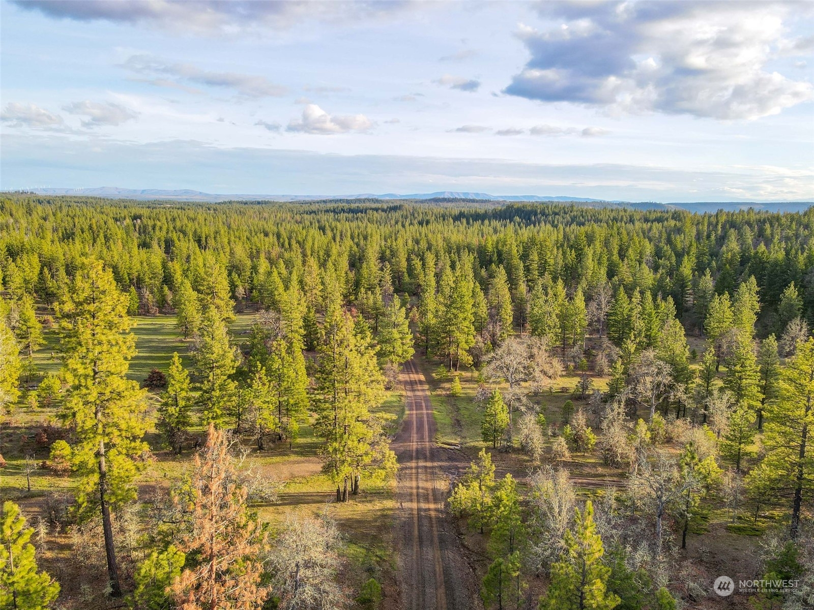 14 Greyback Mt Road Goldendale, WA 98620 - Photo 16 of 25 Gallery Image 16
