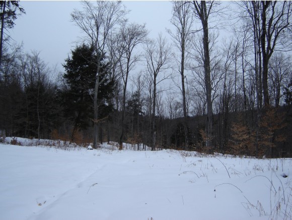 Lot 1 South Bear Swamp Road Middlesex, VT 05602 - Photo 1 of 1