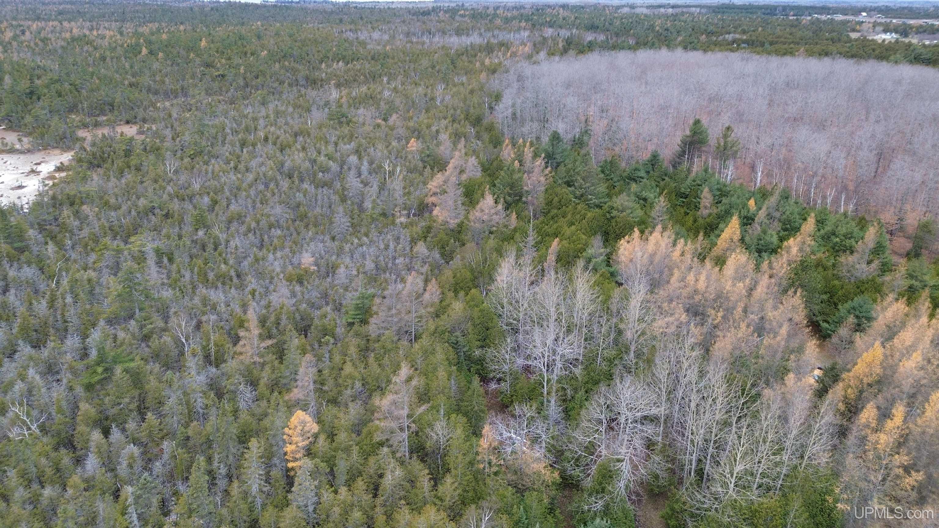 Tbd Tbd Appleford Road Moran, MI 49760 - Photo 18 of 24