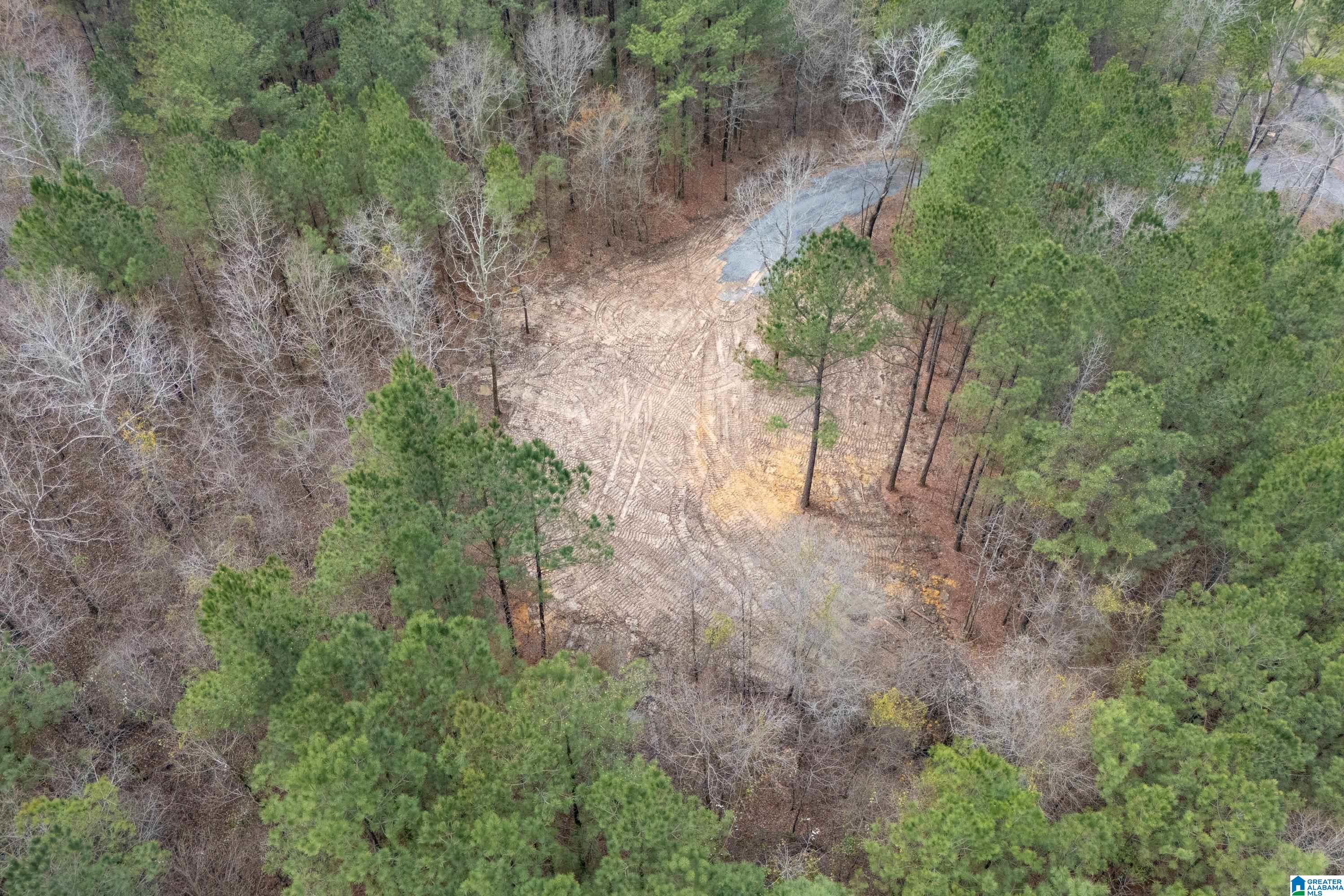 7 Fisher Phillips, Unit 7 Ashville, AL 35953 - Photo 27 of 28
