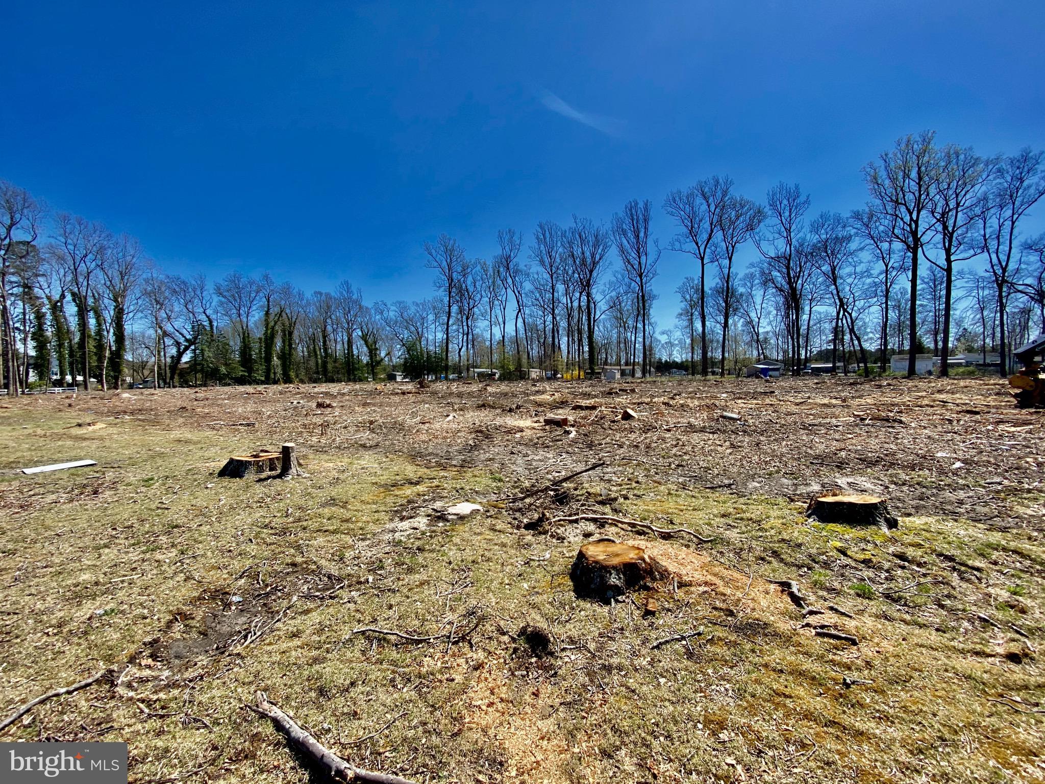 Long Neck Road Millsboro, DE 19966 - Photo 8 of 9