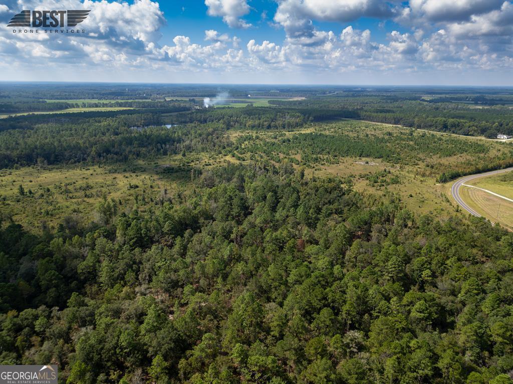 0 Tract B - Hammond Powell Road Hazlehurst, GA 31539 - Photo 1 of 1 Main View