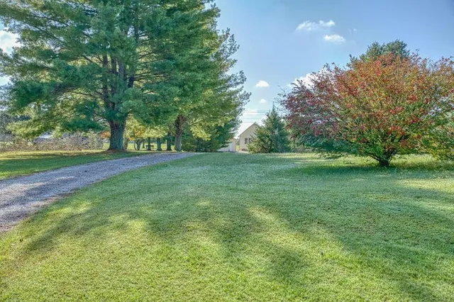 a view of a grassy field with trees