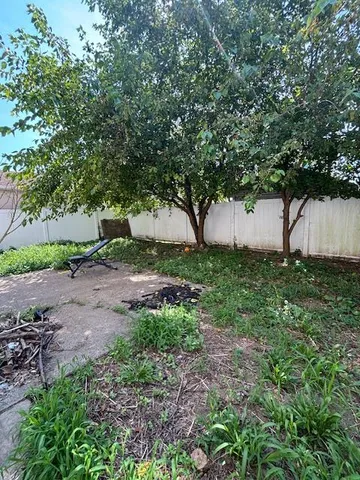 a view of a backyard