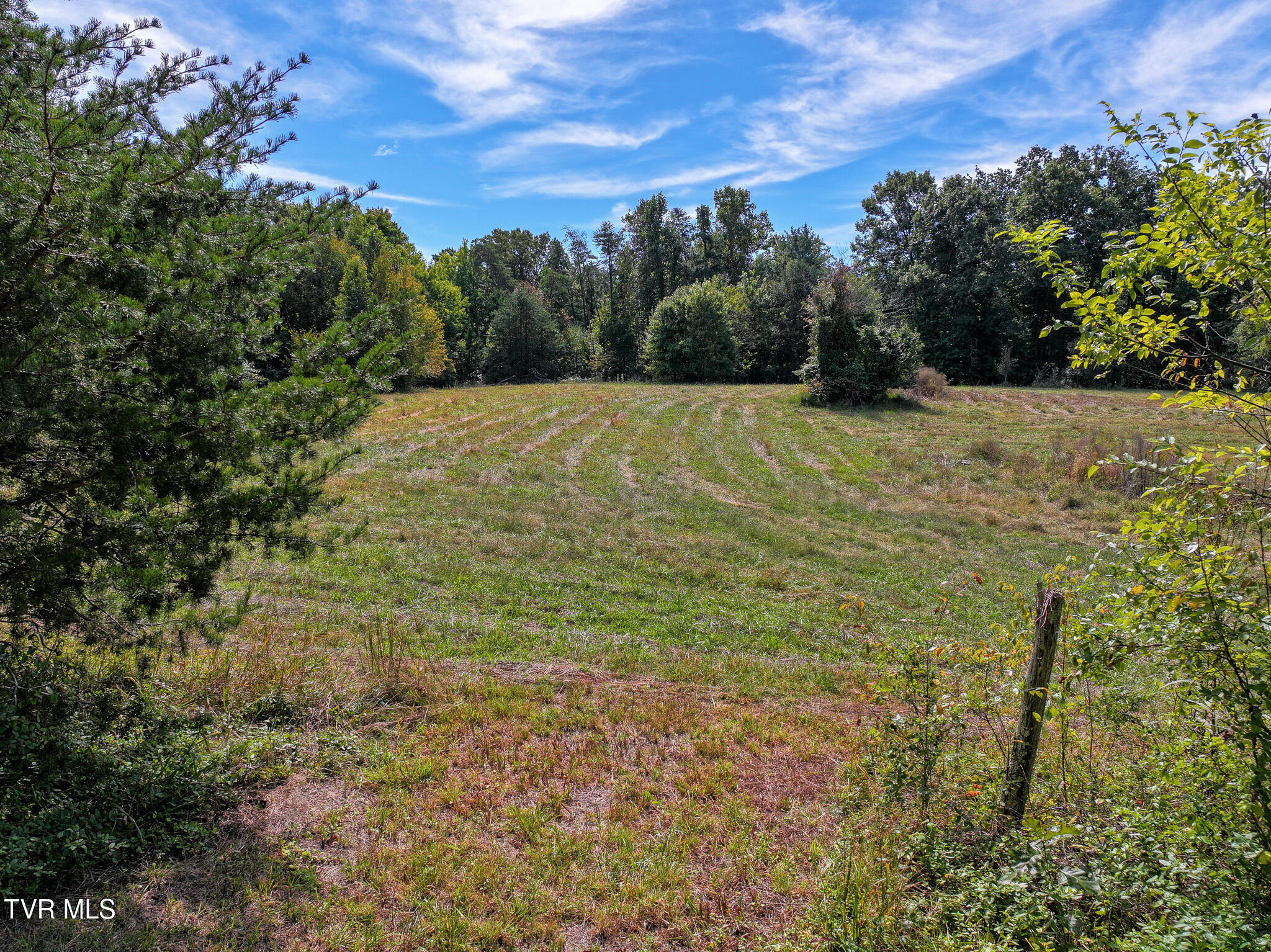 250 Bill Martin Road Afton, TN 37616 - Photo 13 of 23 13