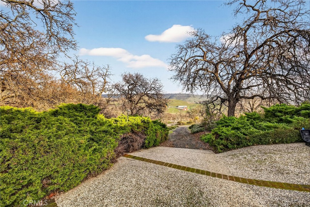 4139 Hidden Valley Road Butte Valley, CA 95965 - Photo 55 of 75 a view of a yard with a tree