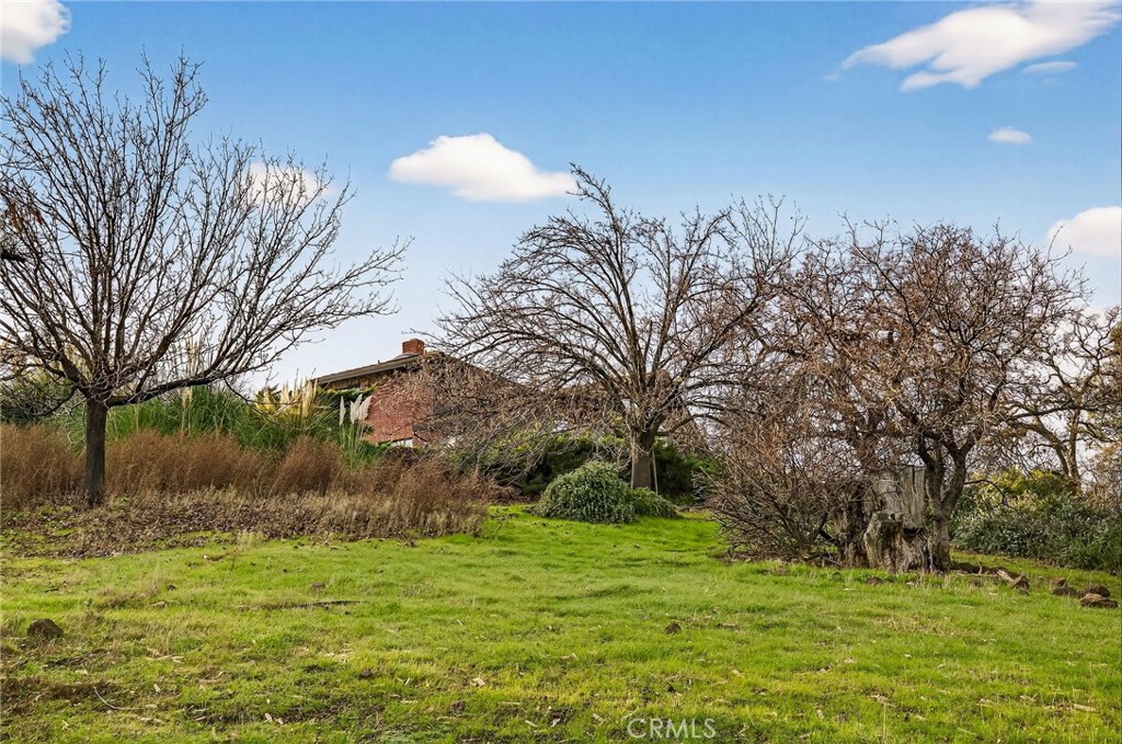 4139 Hidden Valley Road Butte Valley, CA 95965 - Photo 56 of 75 a backyard of a house with lots of green space