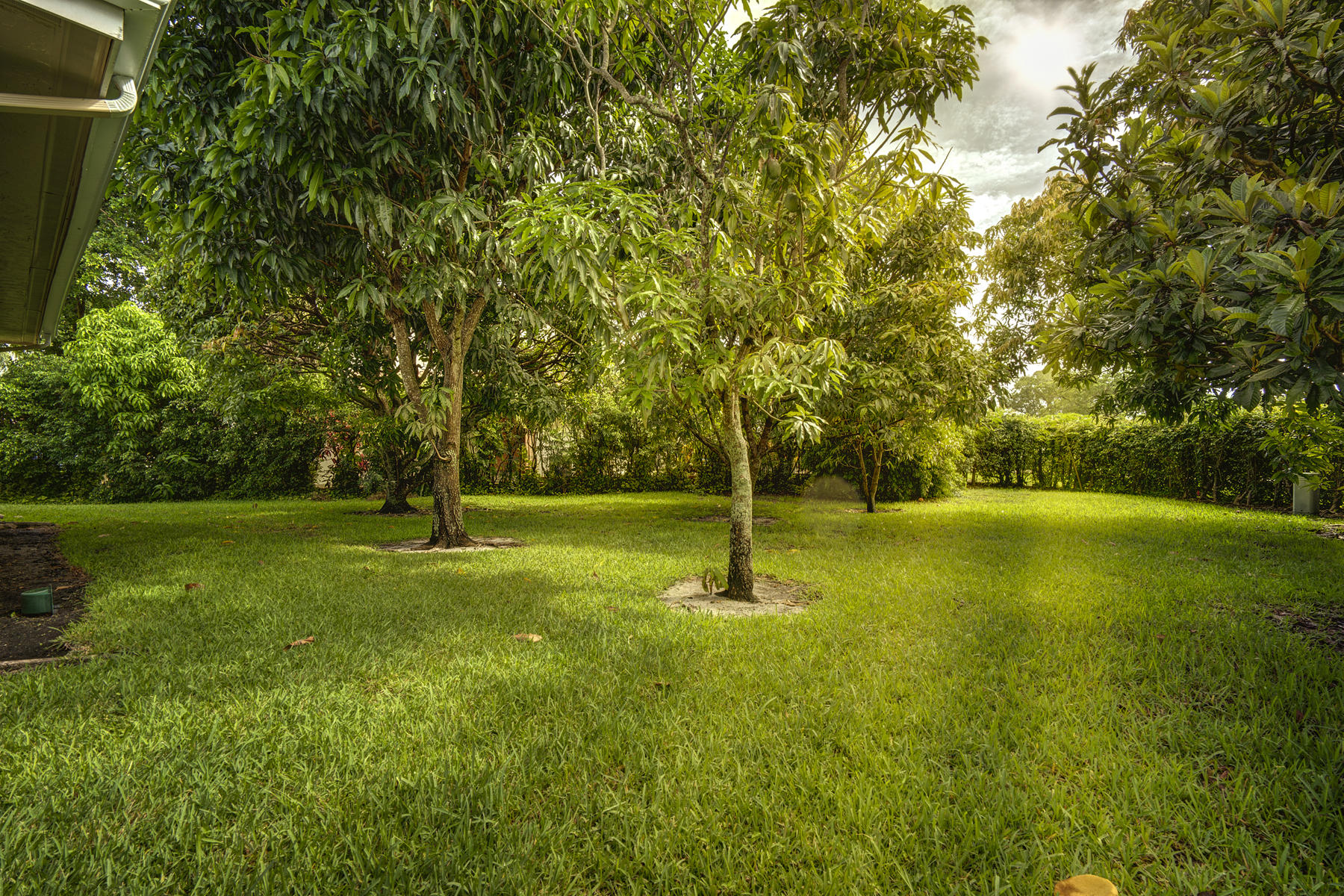 7818 Cloverfield Circle Boca Raton, FL 33433 - Photo 16 of 36 Huge Backyard wih Mango Trees