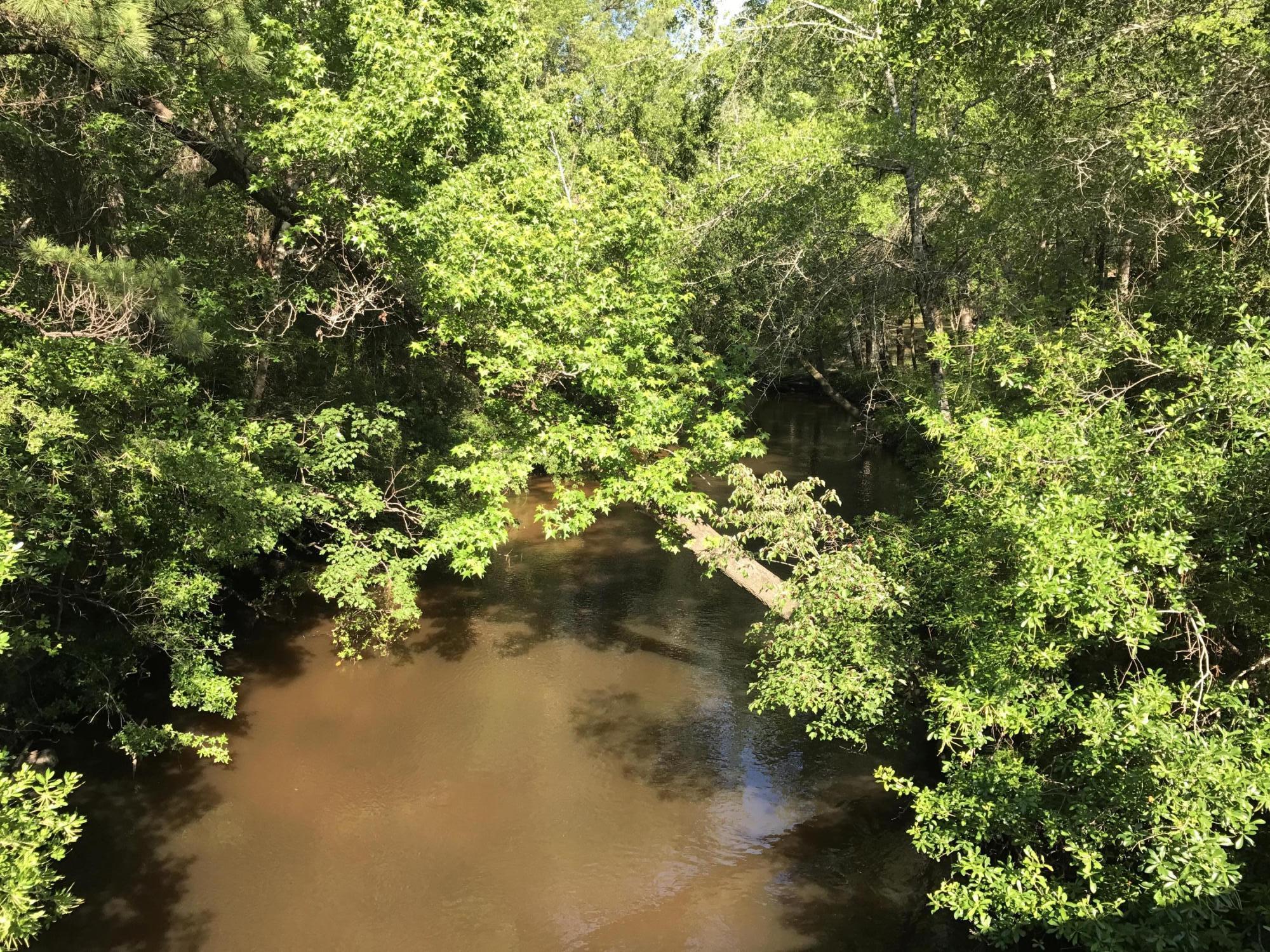 0 Shoal River Road Crestview, FL 32539 - Photo 12 of 12 a view of a forest
