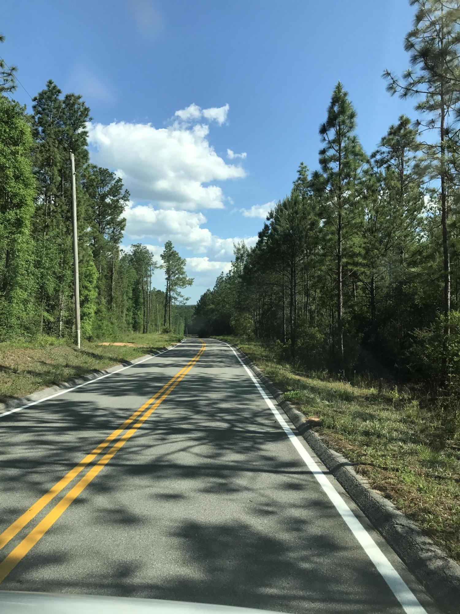 0 Shoal River Road Crestview, FL 32539 - Photo 5 of 12 a view of a yard
