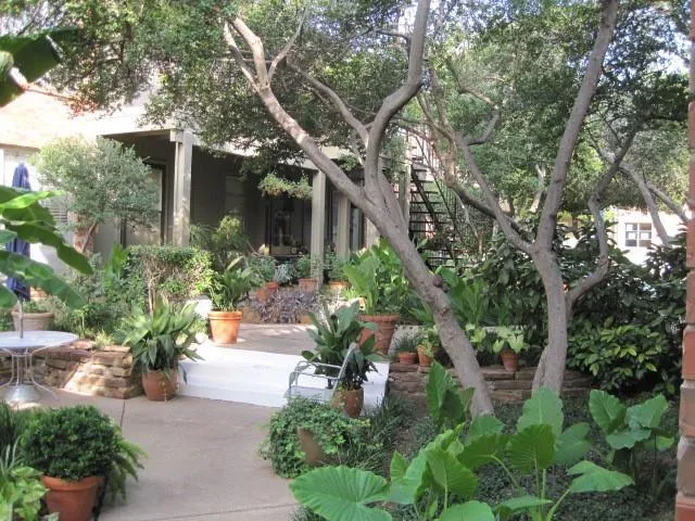 a front view of a house with a yard and fountain