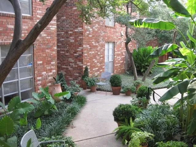 a couple of flower plants in front of building