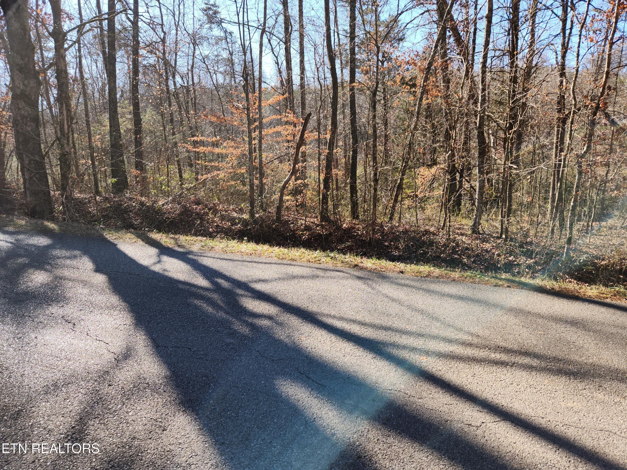 0 Creek Road Sweetwater, TN 37874 - Photo 8 of 8 Gallery Image 8