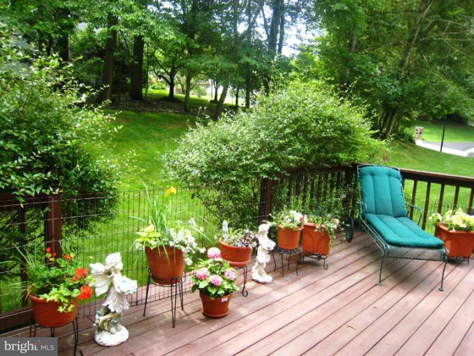 10515 Pot Spring Road Cockeysville, MD 21030 - Photo 14 of 25 Deck