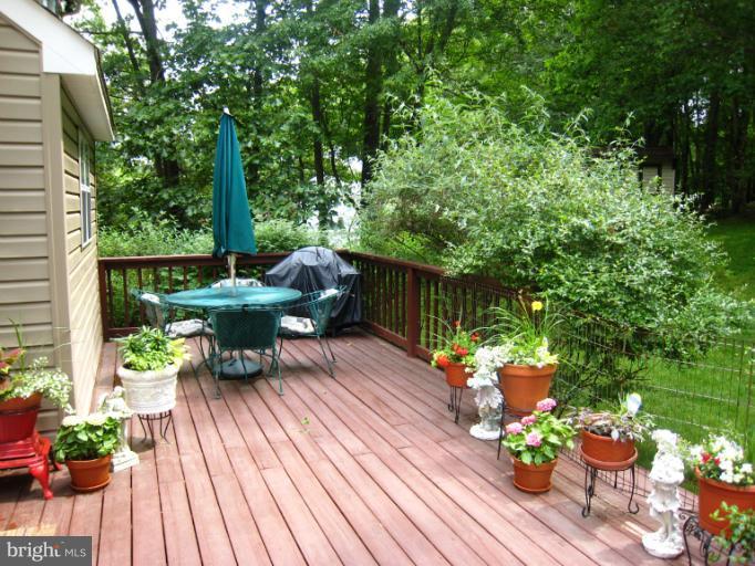 10515 Pot Spring Road Cockeysville, MD 21030 - Photo 4 of 25 Deck