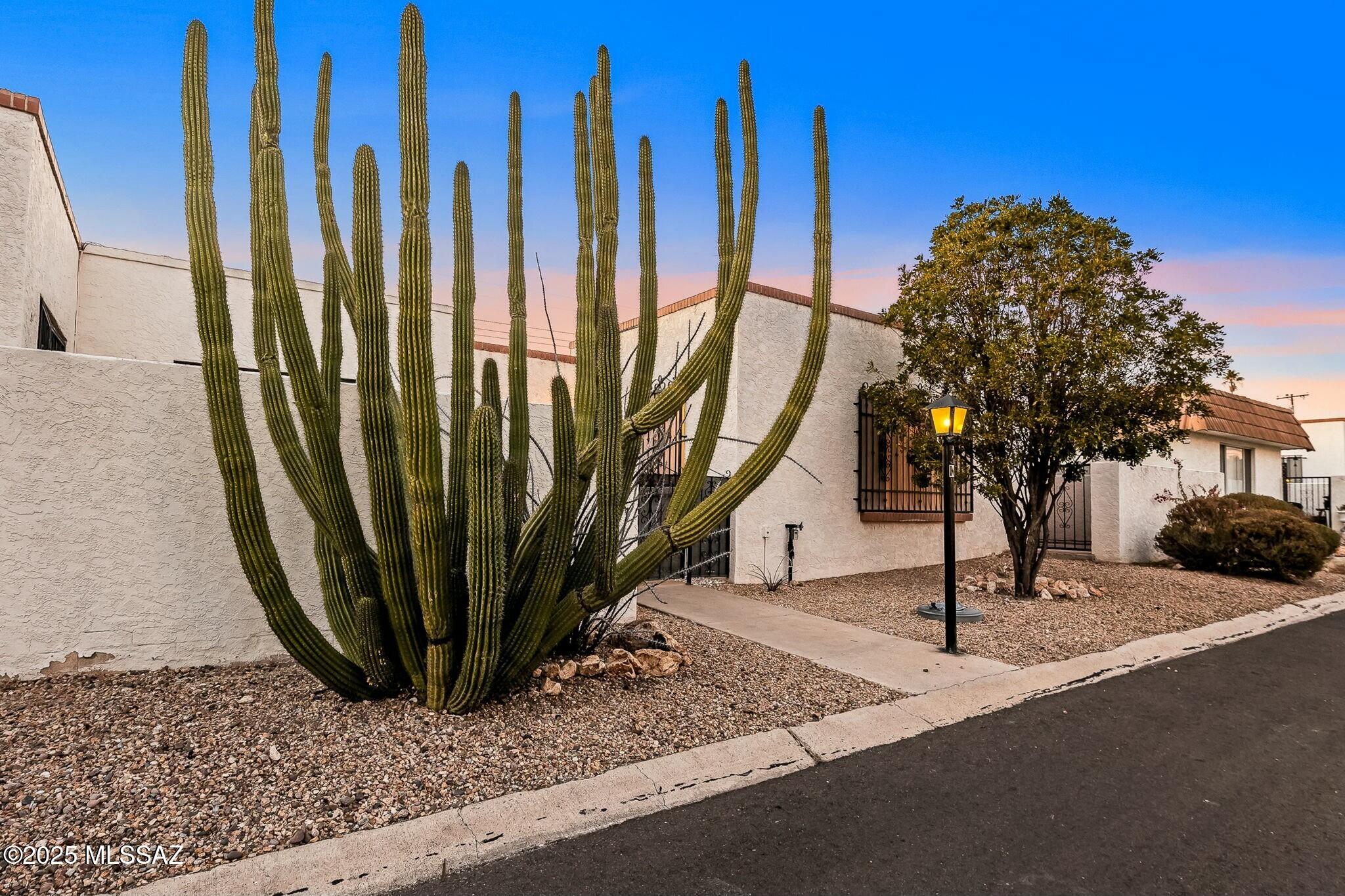 600 East River Road, Unit M Tucson, AZ 85704 - Photo 2 of 26