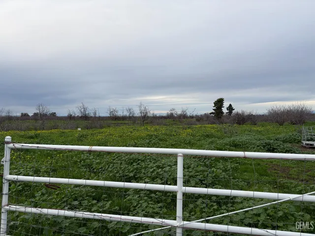 a view of a green field with lots of green space