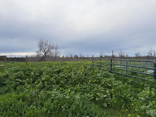 a view of a city with an ocean