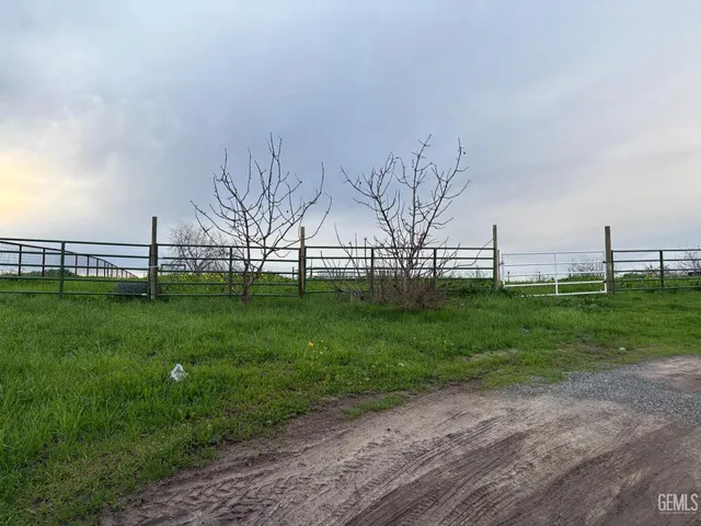 a view of a park with large trees