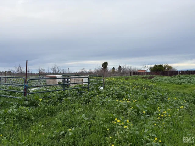 a view of a green field
