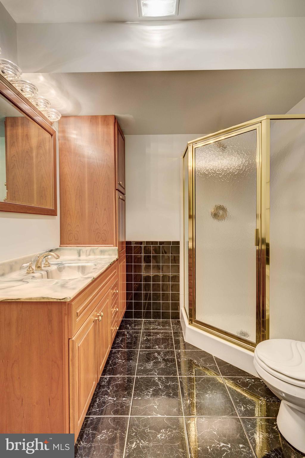 3024 Bird View Road Westminster, MD 21157 - Photo 54 of 58 Full Bath 3
