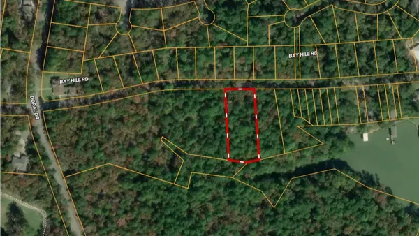 $30,000 | Lot 9 Bay Hill Road, Point Blank, TX 77364