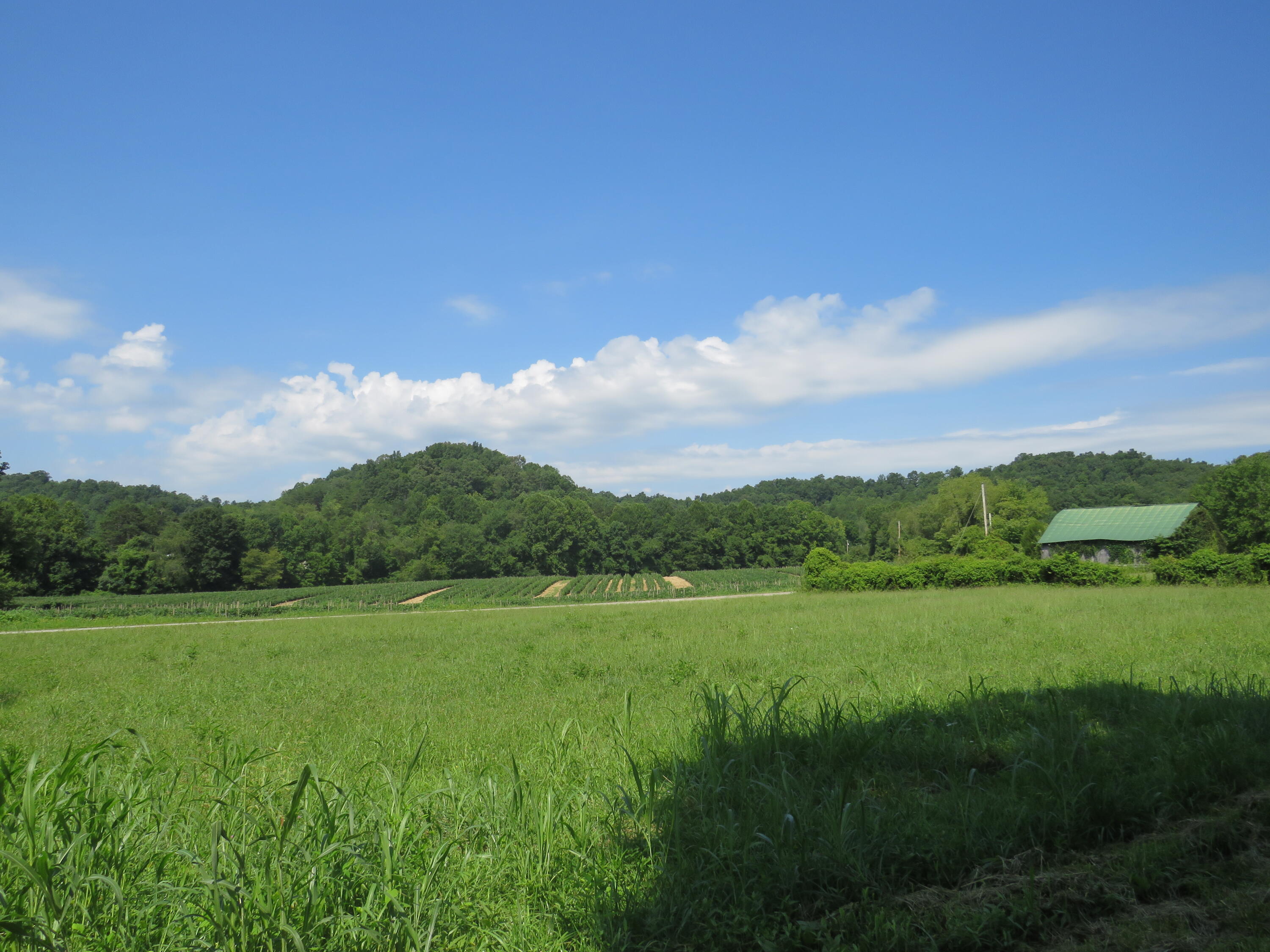 504 Nantz Road London, KY 40741 - Photo 27 of 60 IMG_5025
