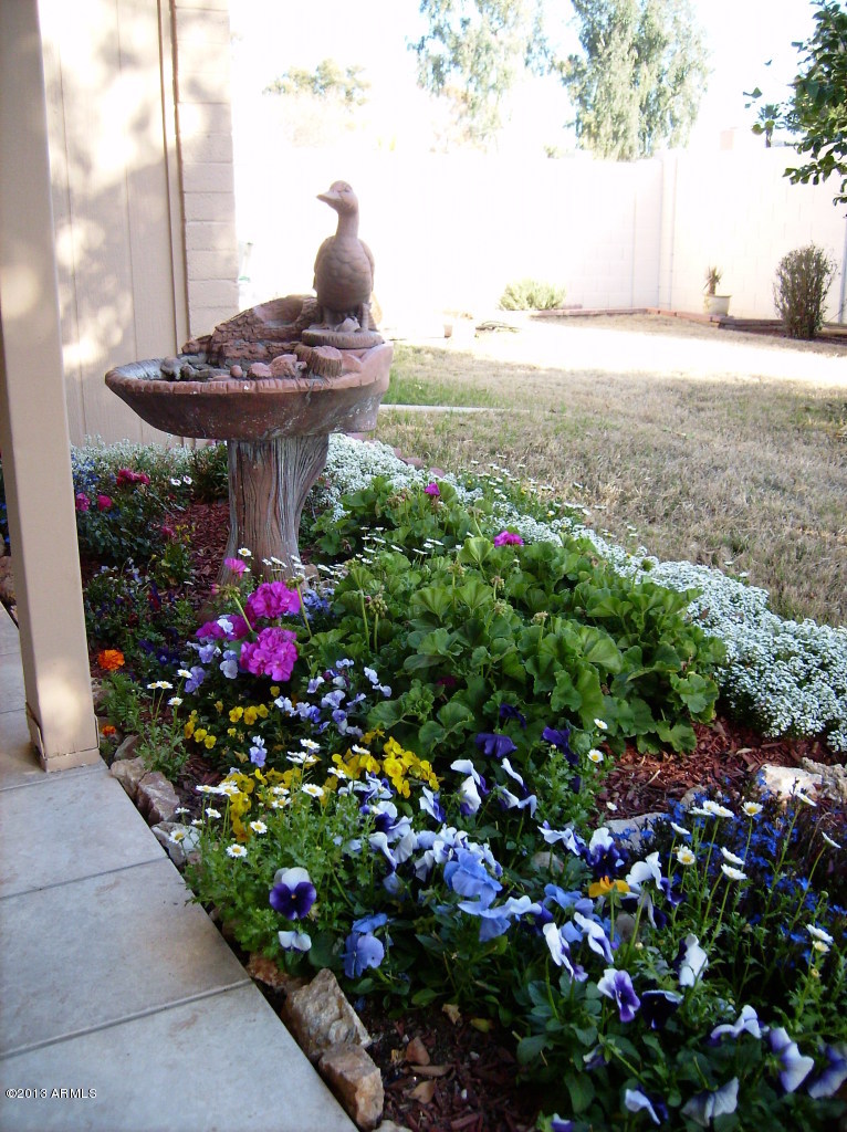 2401 West Hearn Road Phoenix, AZ 85023 - Photo 14 of 18 Back yard