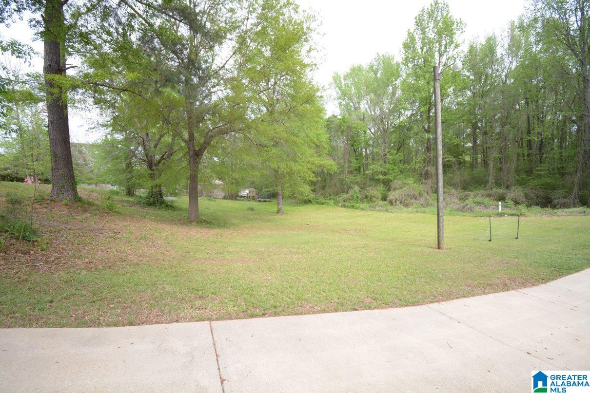 113 Randall Circle Clanton, AL 35045 - Photo 18 of 24