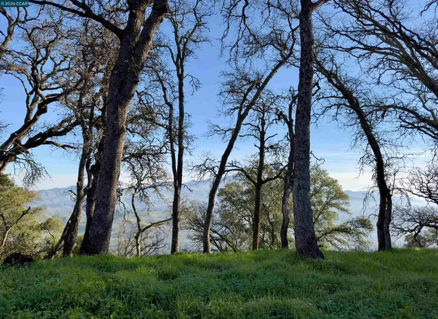 $1,199,000 | 0 Castle Crest Road, Alamo, CA 94507