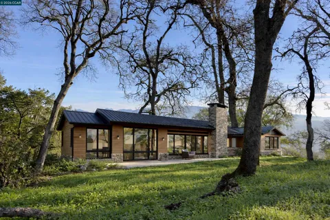 a view of house with a garden