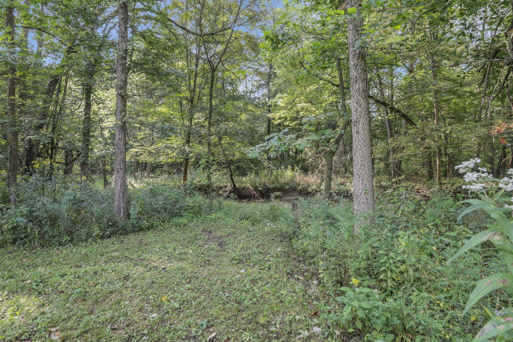9240 Sycamore Road Mount Vernon, OH 43050 - Photo 44 of 49 45-web-or-mls-011A3979 - Copy