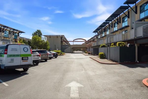 a view of a park with large trees