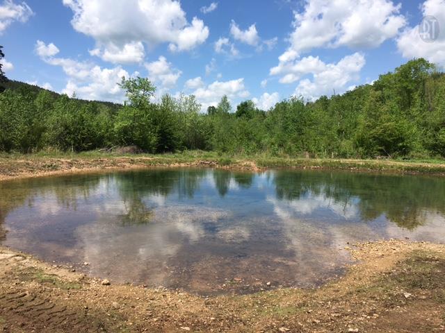 497 Goodman Branch Road Hohenwald, TN 38462 - Photo 18 of 25 Gallery Image 18