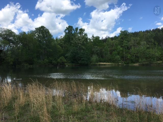 497 Goodman Branch Road Hohenwald, TN 38462 - Photo 5 of 25 Gallery Image 5