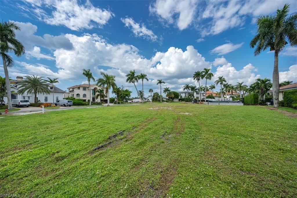 2001 Kingfish Road Naples, FL 34102 - Photo 14 of 24 a view of yard with grass & palm trees
