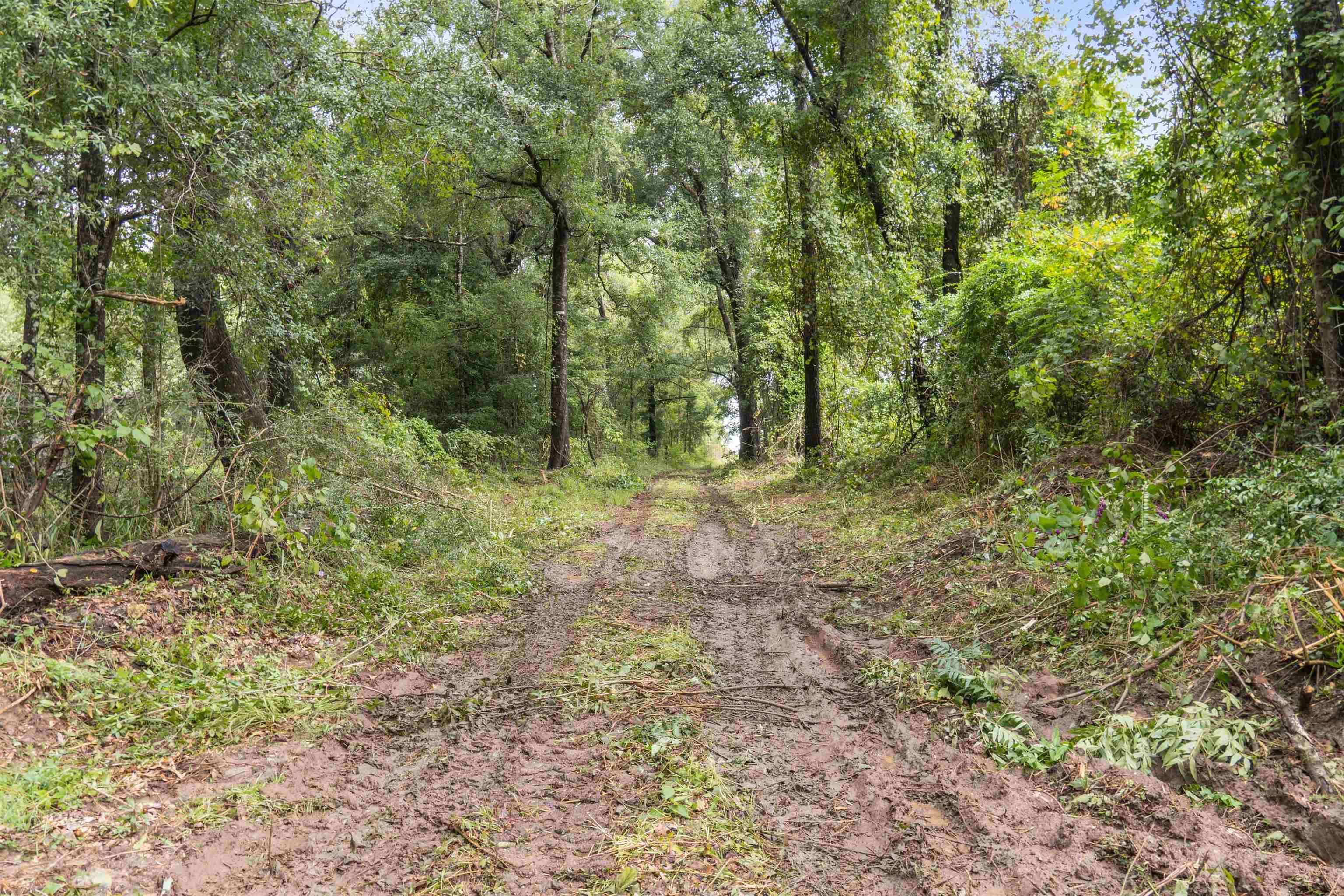 0 Lakeview Road Bay Minette, AL 36507 - Photo 2 of 10