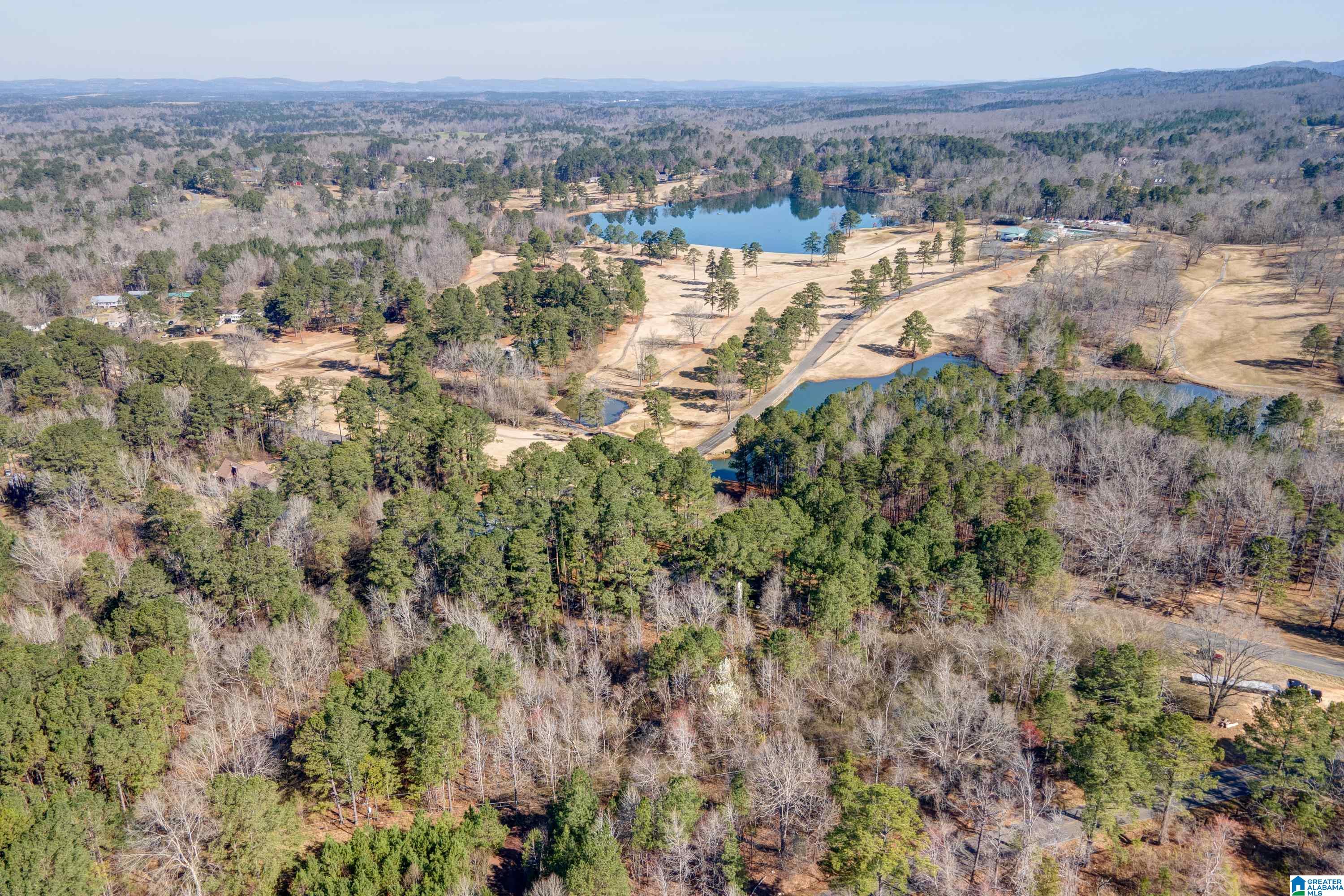 8970 Marsh Mountain Road Pinson, AL 35126 - Photo 41 of 48