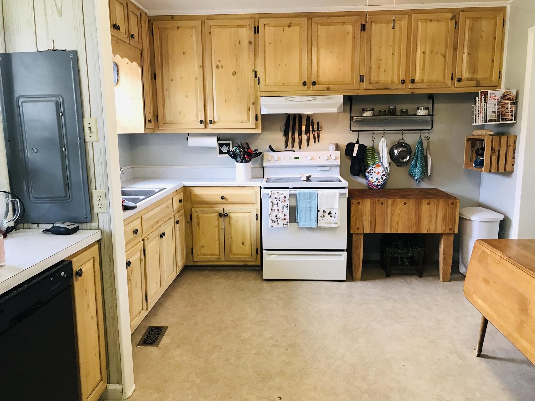 105 Pallas Road Oak Ridge, TN 37830 - Photo 8 of 20 Penty of Cabinets