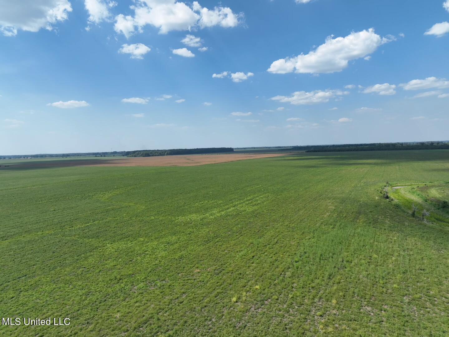 1 Oil Well Road Cary, MS 39054 - Photo 51 of 52 51240DDA-2B2B-49A6-8B3C-4AAA5194BC66
