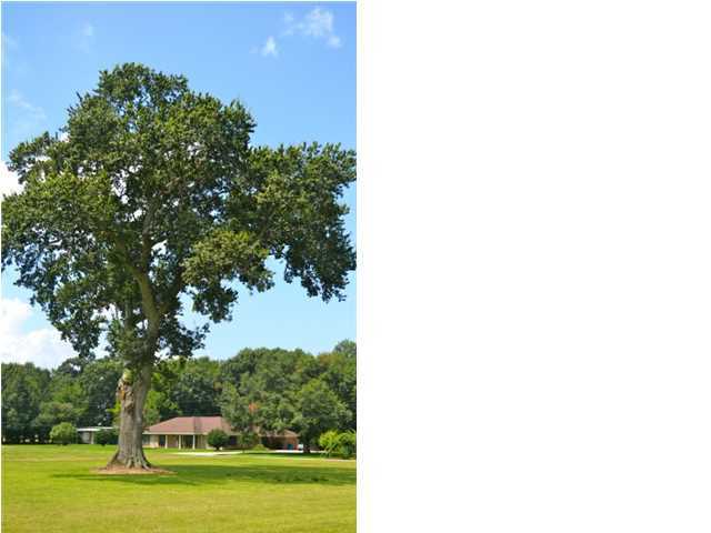 201 Jalon Road Scott, LA 70583 - Photo 4 of 6 Gallery Image 4