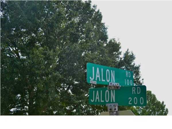201 Jalon Road Scott, LA 70583 - Photo 6 of 6 Gallery Image 6