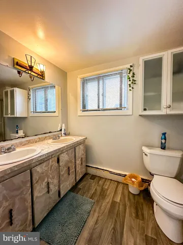 a bathroom with a sink and a toilet