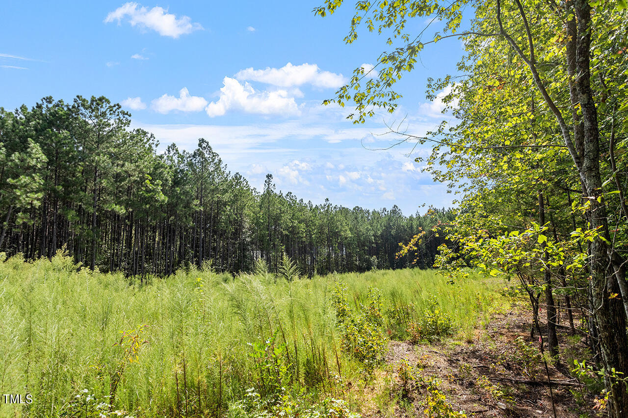 7524 Mitchell Mill Road Zebulon, NC 27597 - Photo 13 of 23 7524 Mitchell Mill Road_11