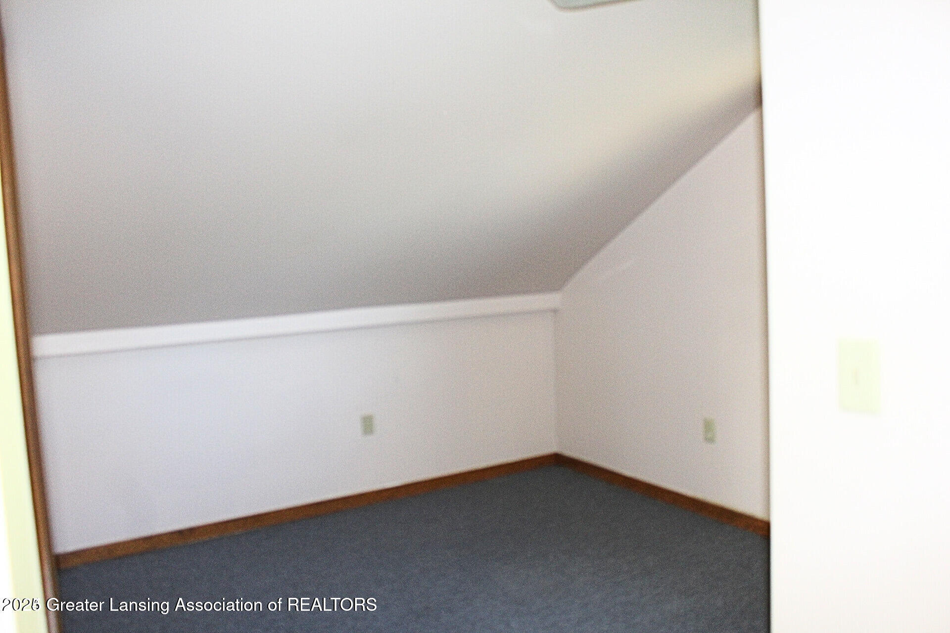 10122 Royston Road Grand Ledge, MI 48837 - Photo 25 of 29 20241016160310708582000000-o